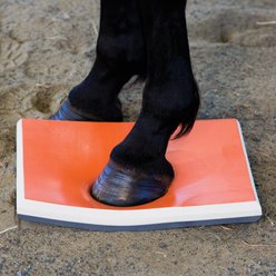 SURE FOOT Equine Multi-Purpose Horse Half Physiopad slide 2 of 4