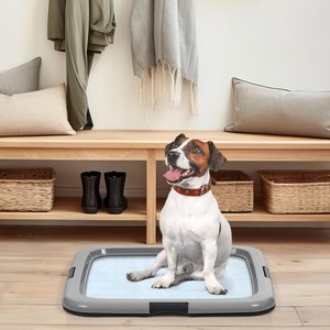 IRIS Non-skid Plastic Training Dog Potty Pad Holder, Gray, Large: 22 x 22-in, 1 count