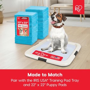 IRIS Non-skid Plastic Training Dog Potty Pad Holder, Gray, Large: 22 x 22-in, 1 count