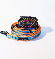 Oh My Millie Dancing Fruits Outdoor Use Dog Leash & Poop Bag Holder Set, Multicolor, 5-ft long, 1-in wide