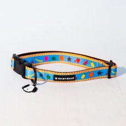 Oh My Millie Dancing Fruits Adjustable Dog Collar, Multicolor, Medium: 13 to 20-in neck, 3/4-in wide