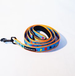 Oh My Millie Dancing Fruits Outdoor Use Dog Leash, Multicolor, 5-ft long, 1-in wide slide 2 of 3