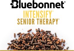Bluebonnet Feeds Intensify Senior Therapy Low Sugar, Low Starch Senior Horse Feed, 50-lb bag slide 2 of 6