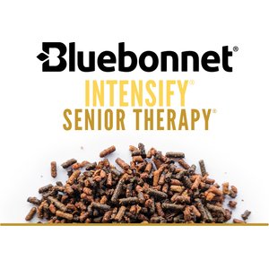 Bluebonnet Feeds Intensify Senior Therapy Low Sugar, Low Starch Senior Horse Feed, 50-lb bag