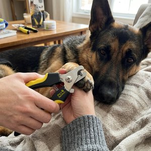 Pet Republique Dog Nail Clipper for Large Breeds with Safety Guard