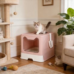 Wisfor Foldable Covered Cat Litter Box, Pink, 18.9 x 15.1 x 14.9-in slide 2 of 9
