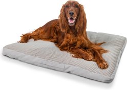 Best Friends by Sheri Cool & Cozy Orthopedic Pillow Dog Bed with Shredded Foam, Plush Polyfill & Removable Washable Cover, Gray, Medium: 36 x 27-in