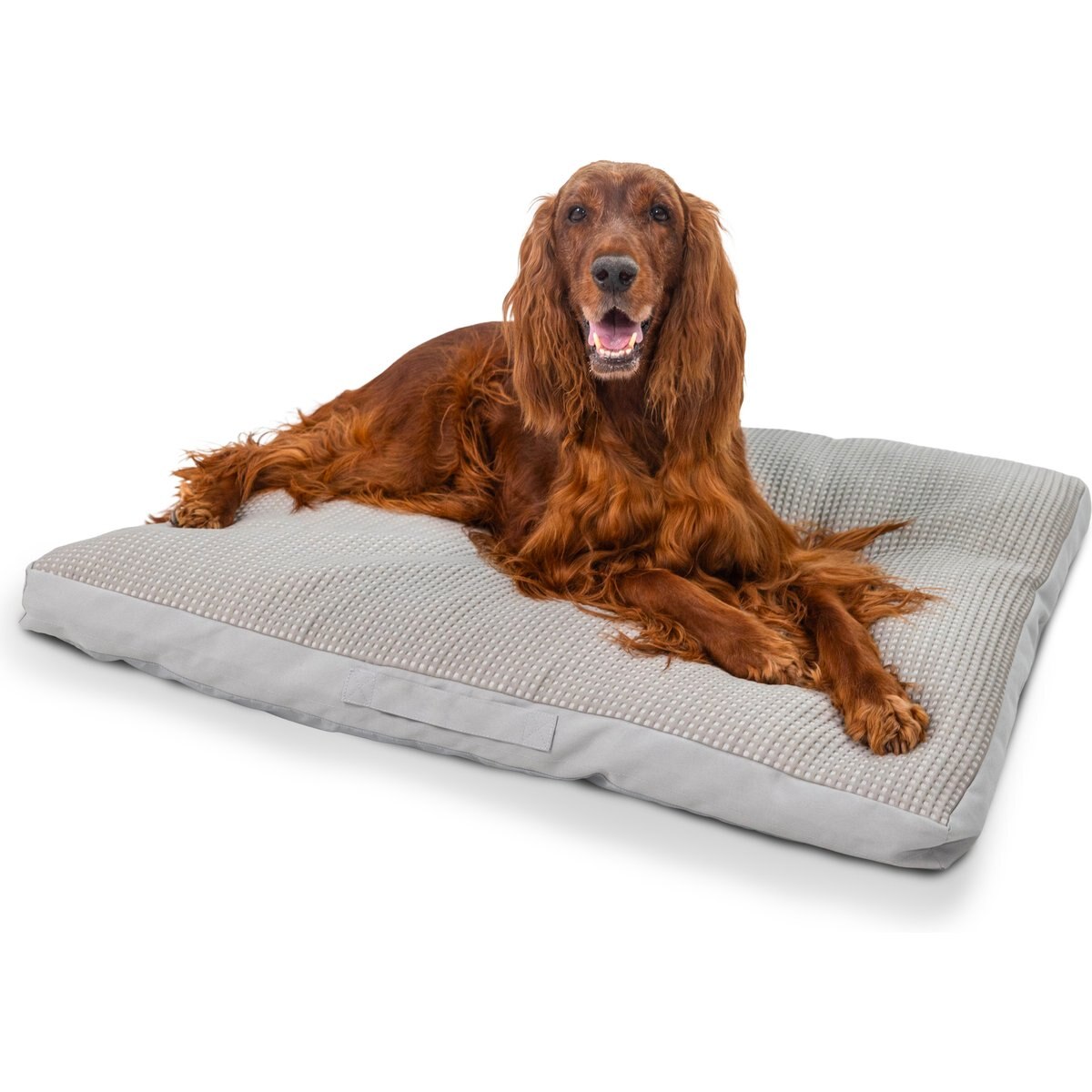 Best Friends by Sheri Cool & Cozy Orthopedic Pillow Cooling Dog Bed with Removable Washable Cover, Gray, Medium: 36 x 27-in