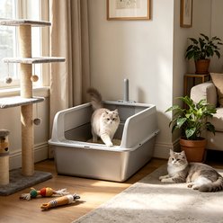 Wisfor Semi-Enclosed Stainless Steel Pan Litter Box with Scoop, Gray, 23.62 x 15.75 x 10.91-in