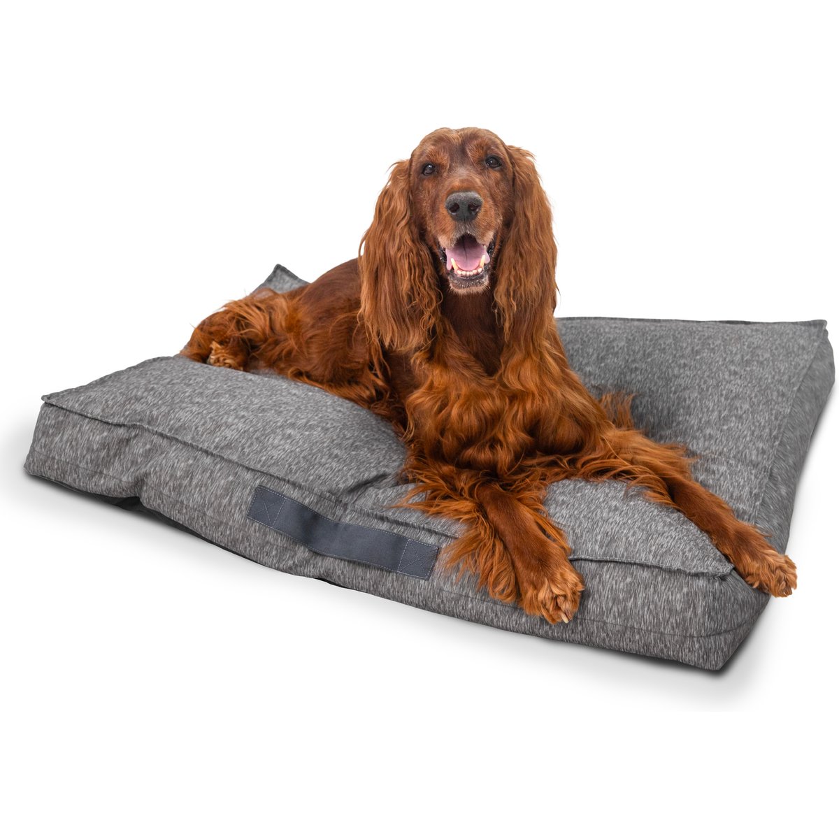 Best Friends by Sheri Dura-Tuff Durable, Chew-Resistant & Orthopedic Pillow Dog Bed with Water-Resistant Base, Shredded Foam & Plush Polyfill, Gray, 36 x 27-in
