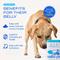 Show in main carousel: Native Pet Probiotic Vet-Formulated Powder Digestive Supplement for Dogs, 8.2-oz slide 4 of 9