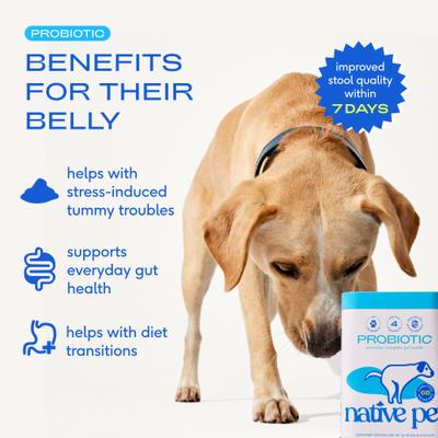 Show full view: Native Pet Probiotic Vet-Formulated Powder Digestive Supplement for Dogs, 8.2-oz slide 4 of 9