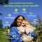 Show in main carousel: Native Pet The Daily Powder 11-in-1 Supplement for Dogs, 7-oz slide 4 of 9
