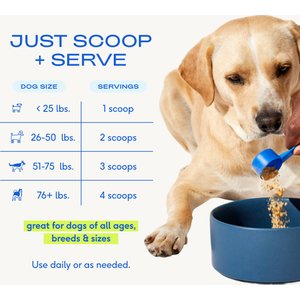 Native Pet The Daily Powder 11-in-1 Supplement for Dogs, 14-oz
