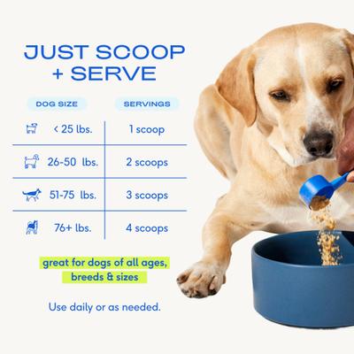 Show full view: Native Pet The Daily Powder 11-in-1 Supplement for Dogs, 7-oz slide 7 of 9