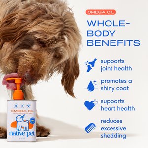 Native Pet Omega-3 Fish Oil & Alaskan Salmon Oil Skin & Coat Health Supplement for Dogs, 8-fl oz bottle