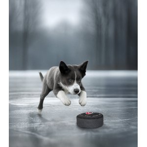 Littlearth NHL Hockey Puck Dog Toy, Carolina Hurricanes