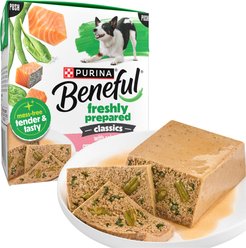 Purina Beneful Freshly Prepared High Protein Classics with Salmon, Green Beans & Spinach Chunks in Gravy Wet Dog Food, 9.5-oz carton, 6 count