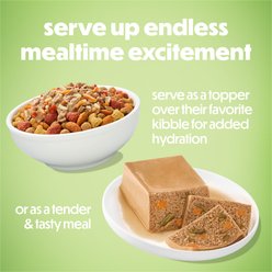 Purina Beneful Freshly Prepared High Protein Classics Turkey Dinner with Sweet Potatoes & Green Beans Chunks in Gravy Wet Dog Food, 9.5-oz carton, 6 count slide 2 of 8