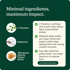 Reggie Anytime Calming Spread Anxiety Relief Natural Peanut with Melatonin & L-Theanine Supplement for Dogs, 16-oz jar slide 2 of 6