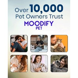 MoodifyPet Odin limited Edition Cat Litter Box Odor Neutralizer, 1.58-oz, 1 count