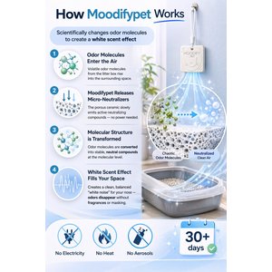 MoodifyPet Odin limited Edition Cat Litter Box Odor Neutralizer, 1.58-oz, 1 count