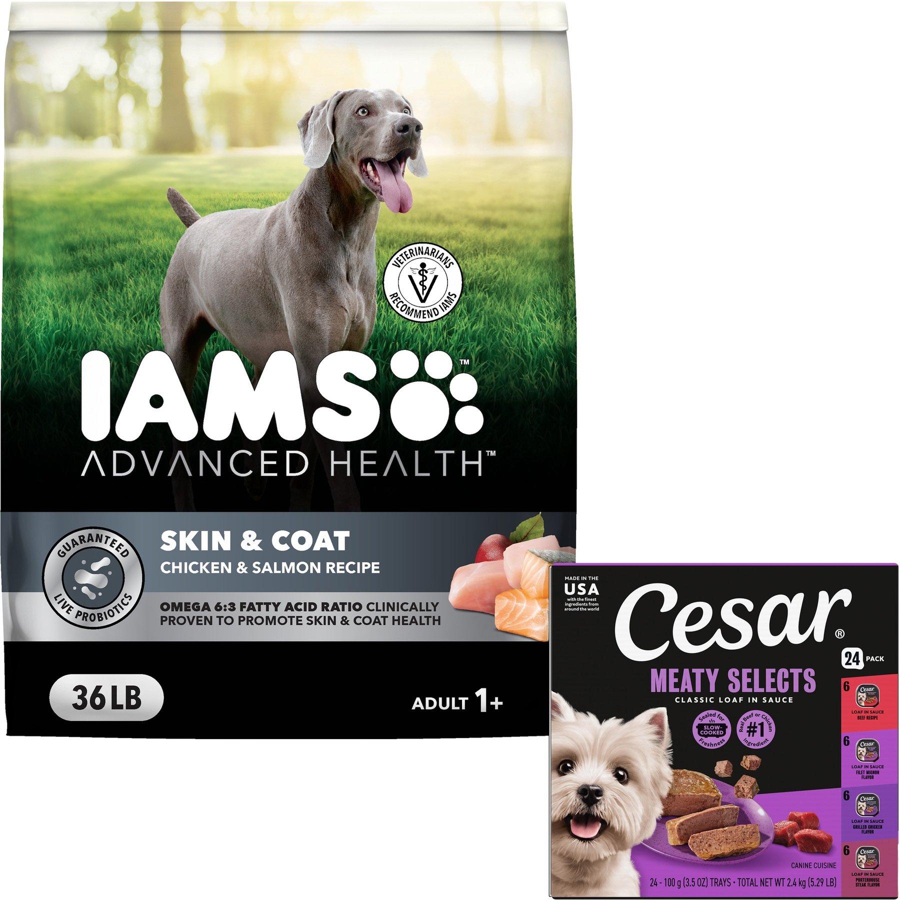 Iams Advanced Health Skin & Coat Chicken & Salmon Recipe Dry Food + Cesar Classic Loaf in Sauce Adult Beef Recipe, Filet Mignon, Grilled Chicken, & Porterhouse Steak Flavors Variety Pack Wet Dog Food