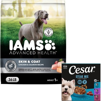 Iams Iams Advanced Health Skin & Coat Chicken & Salmon Recipe Dry Food + Cesar Filets in Gravy Beef Flavors Variety Pack Wet Dog Food