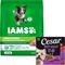 Show in main carousel: Iams MiniChunks Small Kibble High Protein Dry Food + Cesar Classic Loaf in Sauce Beef Recipe, Filet Mignon, Grilled Chicken, & Porterhouse Steak Flavors Variety Pack Dog Food slide 1 of 9