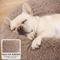 Show in main carousel: MIXJOY Ultra Soft Machine Washable Bolster Dog & Cat Bed, Brown, X-Small slide 3 of 8