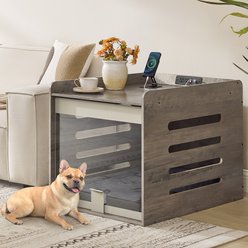 FEANDREA Furniture Style Flip-Up Door Acrylic Dog Crate with Charging Station, Heather Greige, 23.8 inch