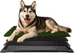 Pet Adobe Washable Artificial Grass Dog Pee Pad with Tray, Large: 35.5 x 23.5-in