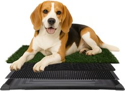 Pet Adobe Artificial Grass Potty Trainer Dog Mat, Medium, 4-Layer