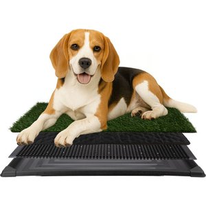 Pet Adobe Artificial Grass Potty Trainer Dog Mat, Medium, 4-Layer