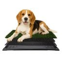 Pet Adobe Artificial Grass Potty Trainer Dog Mat, Medium, 4-Layer