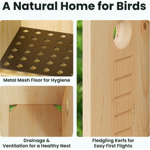 Birdfy Solar Powered Smart Bird House with Camera, Ebony