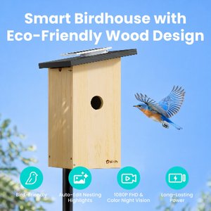 Birdfy Solar Powered Smart Bird House with Camera, Ebony