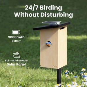 Birdfy Solar Powered Smart Bird House with Camera, Ebony