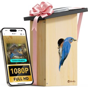 BIRDFY Solar Powered Smart Bird House with Camera, Ebony - Chewy.com
