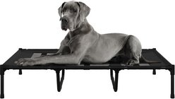Pet Adobe Portable Indoor & Outdoor Elevated Dog & Cat Bed, Black, X-Large