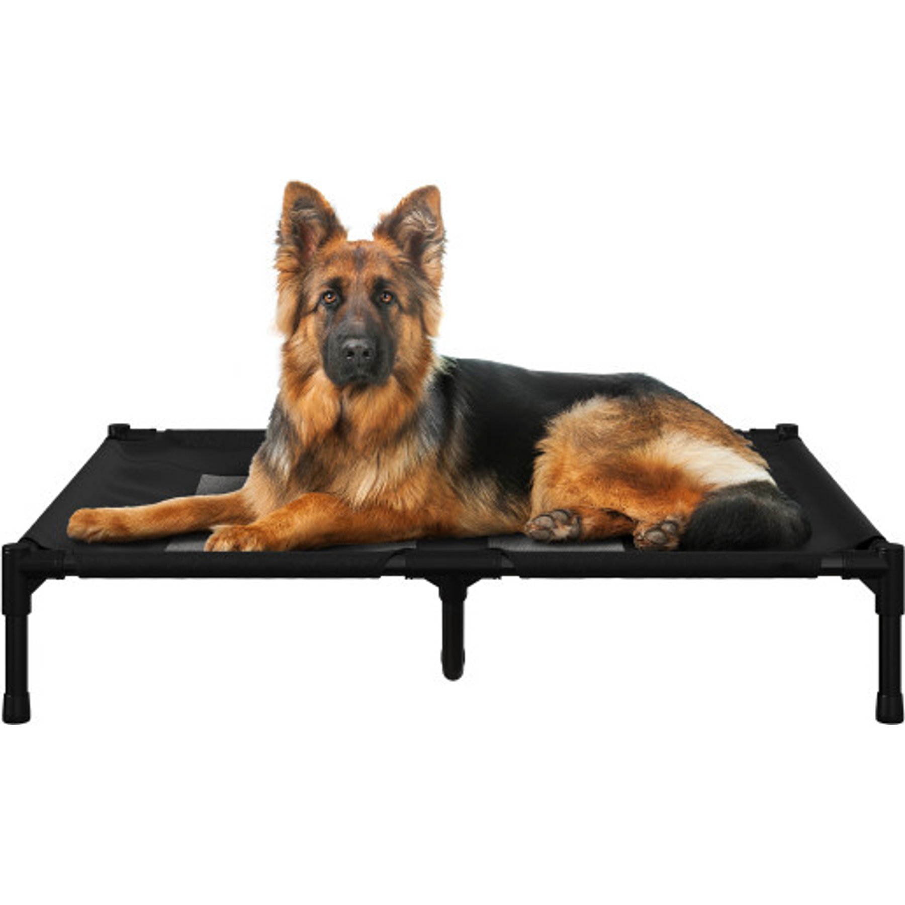 Pet Adobe Portable Indoor & Outdoor Elevated Dog & Cat Bed, Black, Large
