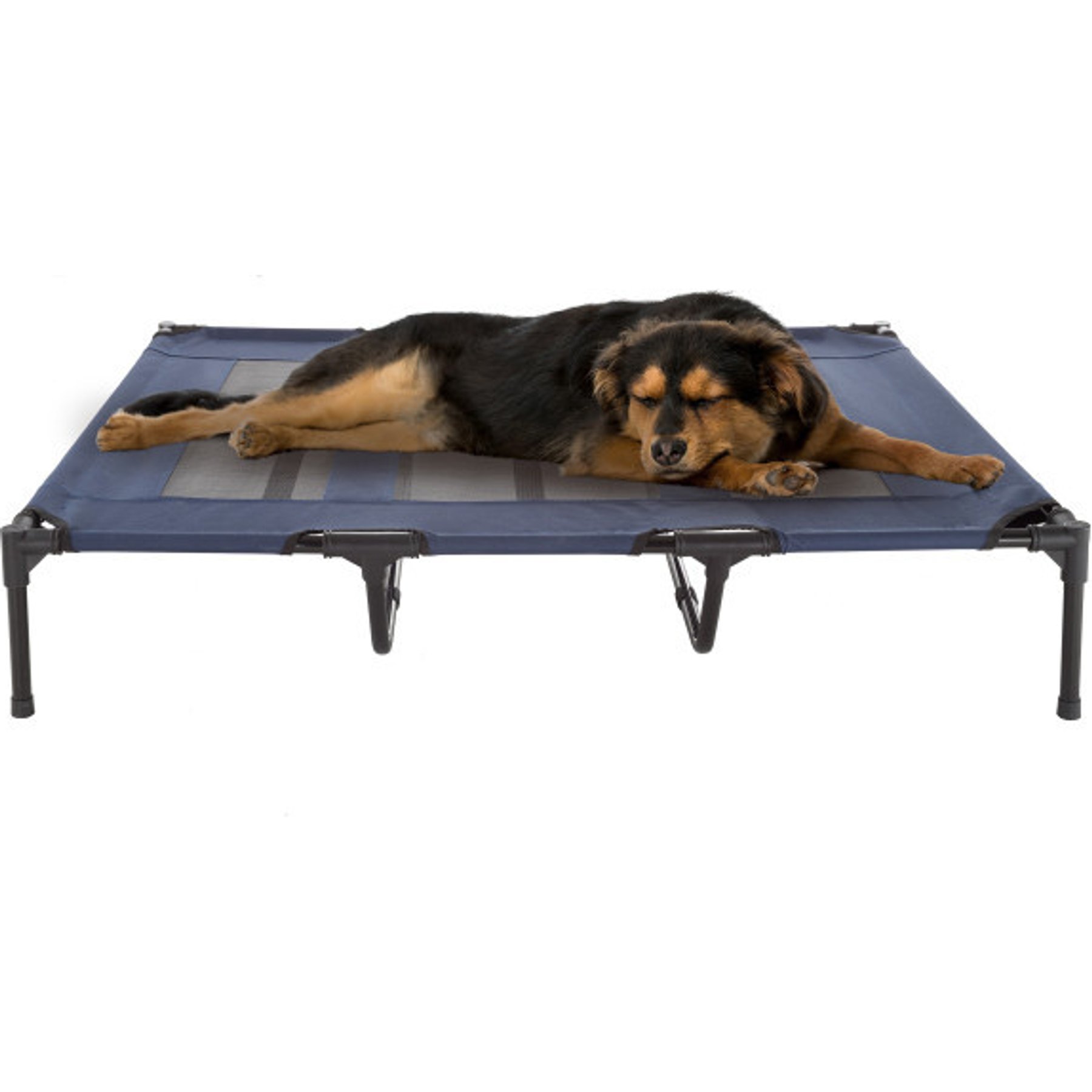 Pet Adobe Elevated Dog Bed, Blue, X-Large
