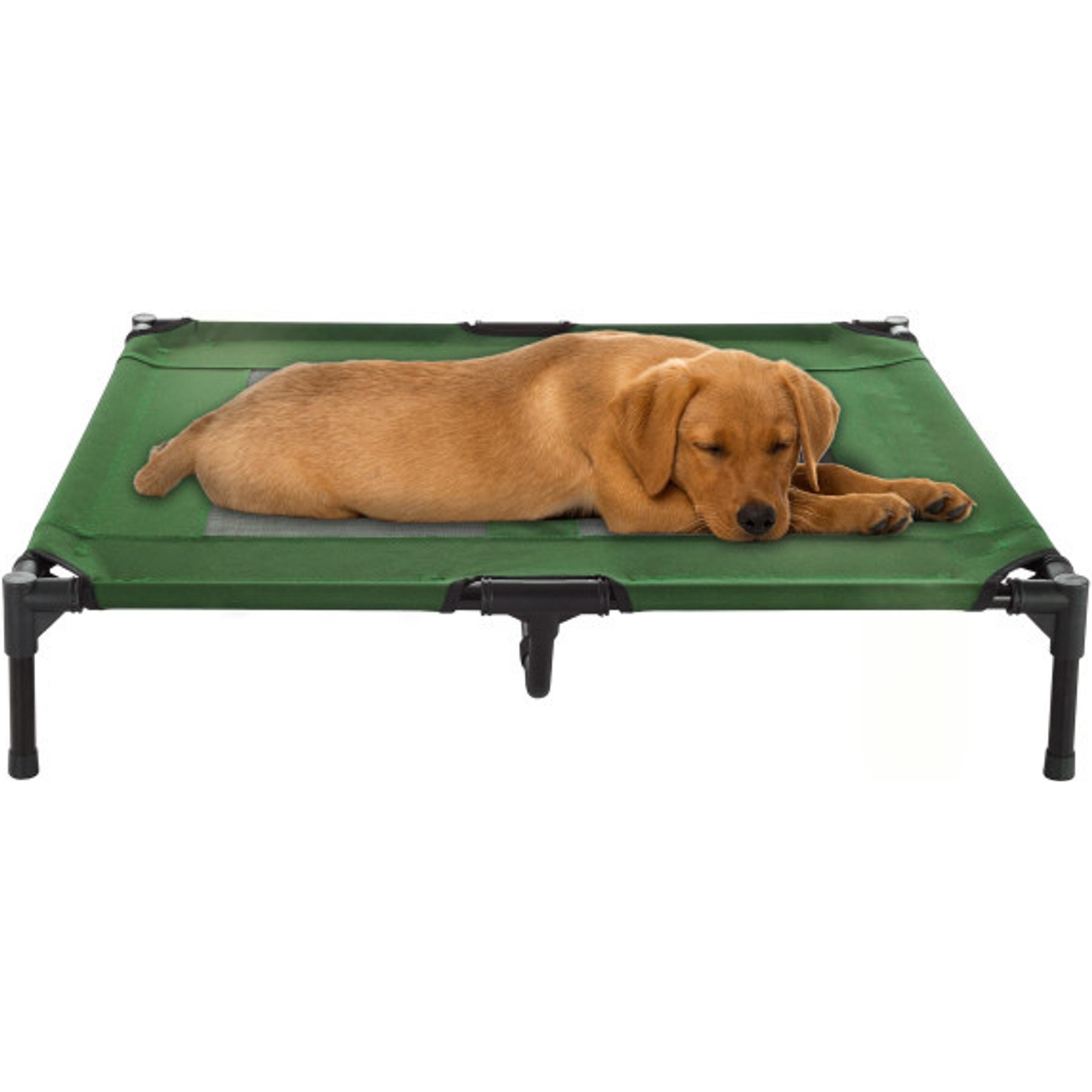 Pet Adobe Elevated Dog Bed, Green, Large