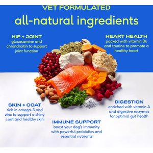 Native Pet The Daily Powder 11-in-1 Supplement for Dogs, 14-oz