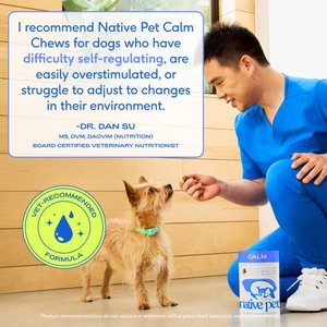 Native Pet Chicken Flavored Air-Dried Chews Calming Supplement for Dogs, 30 count