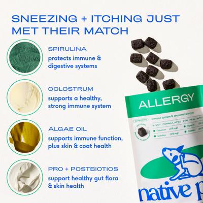 Show full view: Native Pet Allergy & Immune Chews Allergy Relief Supplement for Dogs, 30 count slide 4 of 8