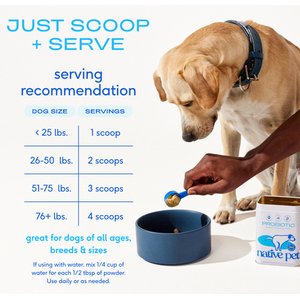 Native Pet Probiotic Vet-Formulated Powder Digestive Supplement for Dogs, 8.2-oz