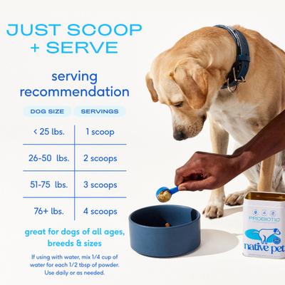 Show full view: Native Pet Probiotic Vet-Formulated Powder Digestive Supplement for Dogs, 8.2-oz slide 7 of 9