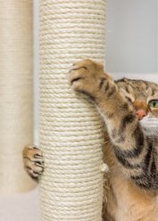 Armarkat 77-in Faux Fleece Cat Tree & Condo, Ivory slide 2 of 9