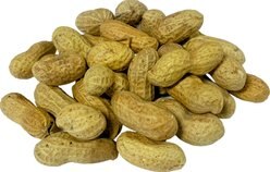 FM Brown's Song Blend Unsalted-In-Shell Whole Peanuts Wild Bird Food, 25-lb box slide 2 of 3